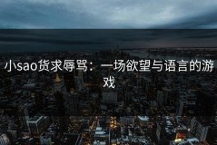 小sao货求辱骂：一场欲望与语言的游戏