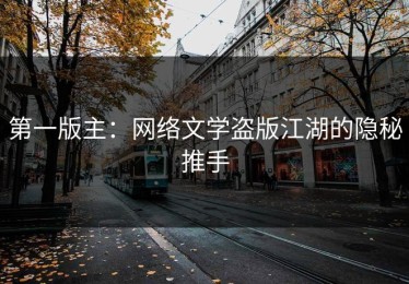第一版主：网络文学盗版江湖的隐秘推手