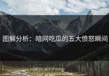 图解分析：暗网吃瓜的五大愤怒瞬间