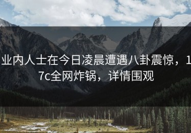 业内人士在今日凌晨遭遇八卦震惊，17c全网炸锅，详情围观