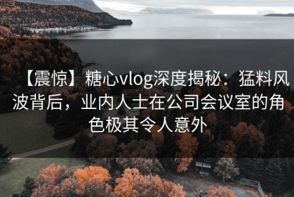 【震惊】糖心vlog深度揭秘：猛料风波背后，业内人士在公司会议室的角色极其令人意外