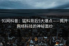 91网科普：猛料背后5大爆点——揭开网络科技的神秘面纱