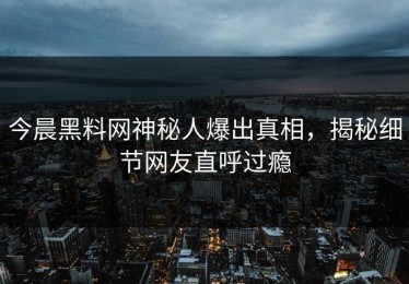 今晨黑料网神秘人爆出真相，揭秘细节网友直呼过瘾