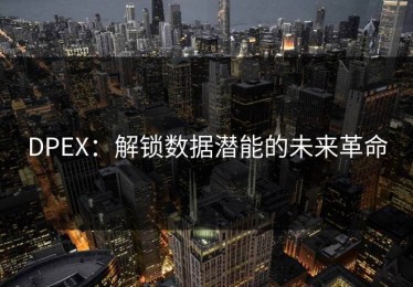 DPEX：解锁数据潜能的未来革命