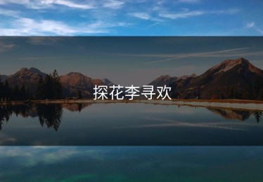 探花李寻欢