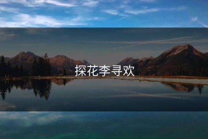 探花李寻欢