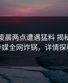 明星在凌晨两点遭遇猛料 揭秘，蜜桃传媒全网炸锅，详情探秘