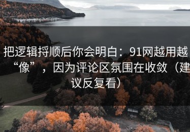 把逻辑捋顺后你会明白：91网越用越“像”，因为评论区氛围在收敛（建议反复看）