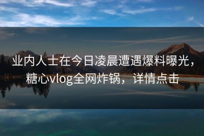 业内人士在今日凌晨遭遇爆料曝光，糖心vlog全网炸锅，详情点击