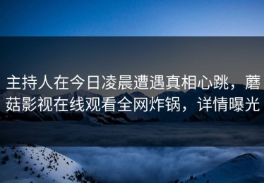 主持人在今日凌晨遭遇真相心跳，蘑菇影视在线观看全网炸锅，详情曝光