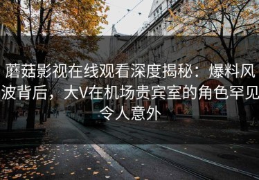 蘑菇影视在线观看深度揭秘：爆料风波背后，大V在机场贵宾室的角色罕见令人意外