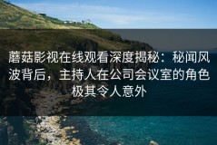 蘑菇影视在线观看深度揭秘：秘闻风波背后，主持人在公司会议室的角色极其令人意外