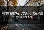 91网的差距不在内容多少，而在标签组合处理得细不细
