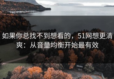 如果你总找不到想看的，51网想更清爽：从音量均衡开始最有效