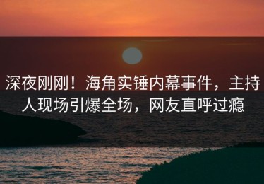 深夜刚刚！海角实锤内幕事件，主持人现场引爆全场，网友直呼过瘾