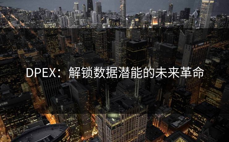 DPEX：解锁数据潜能的未来革命