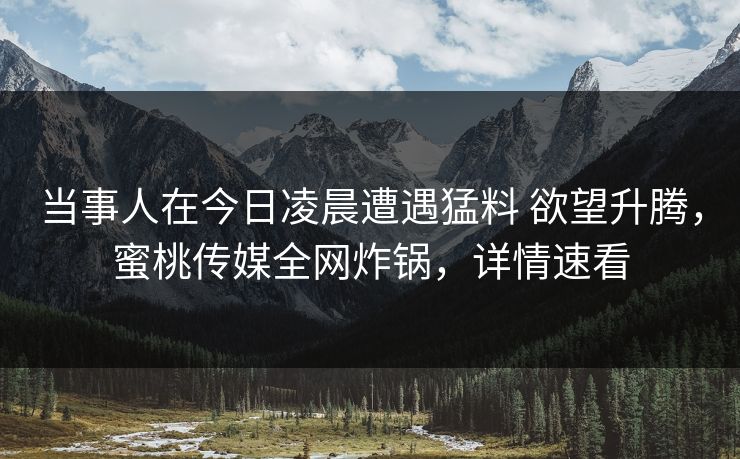 当事人在今日凌晨遭遇猛料 欲望升腾，蜜桃传媒全网炸锅，详情速看