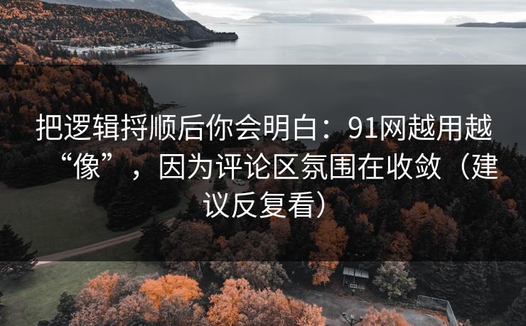 把逻辑捋顺后你会明白：91网越用越“像”，因为评论区氛围在收敛（建议反复看）